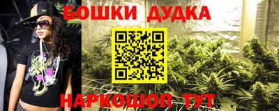 тгк Новозыбков