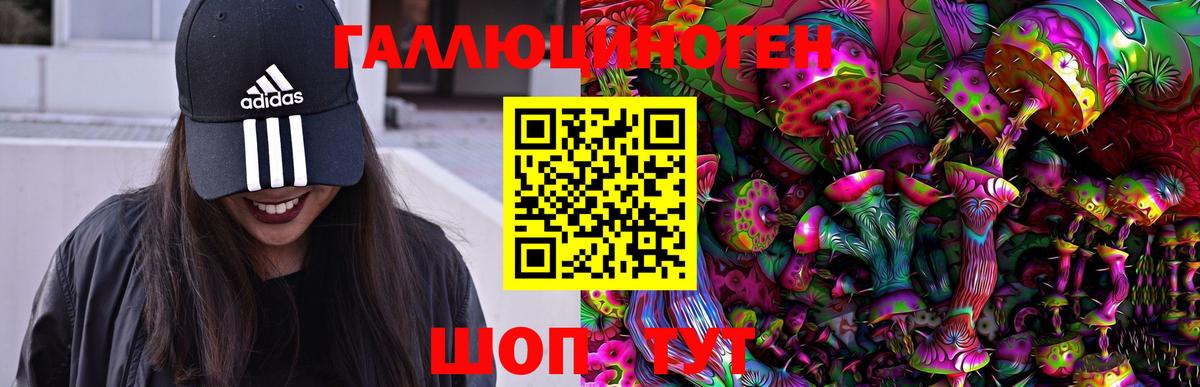 Сердобск  Галлюциногенные грибы GOLDEN TEACHER  Галлюциногенные грибы прущие грибы  Вход с VPN 